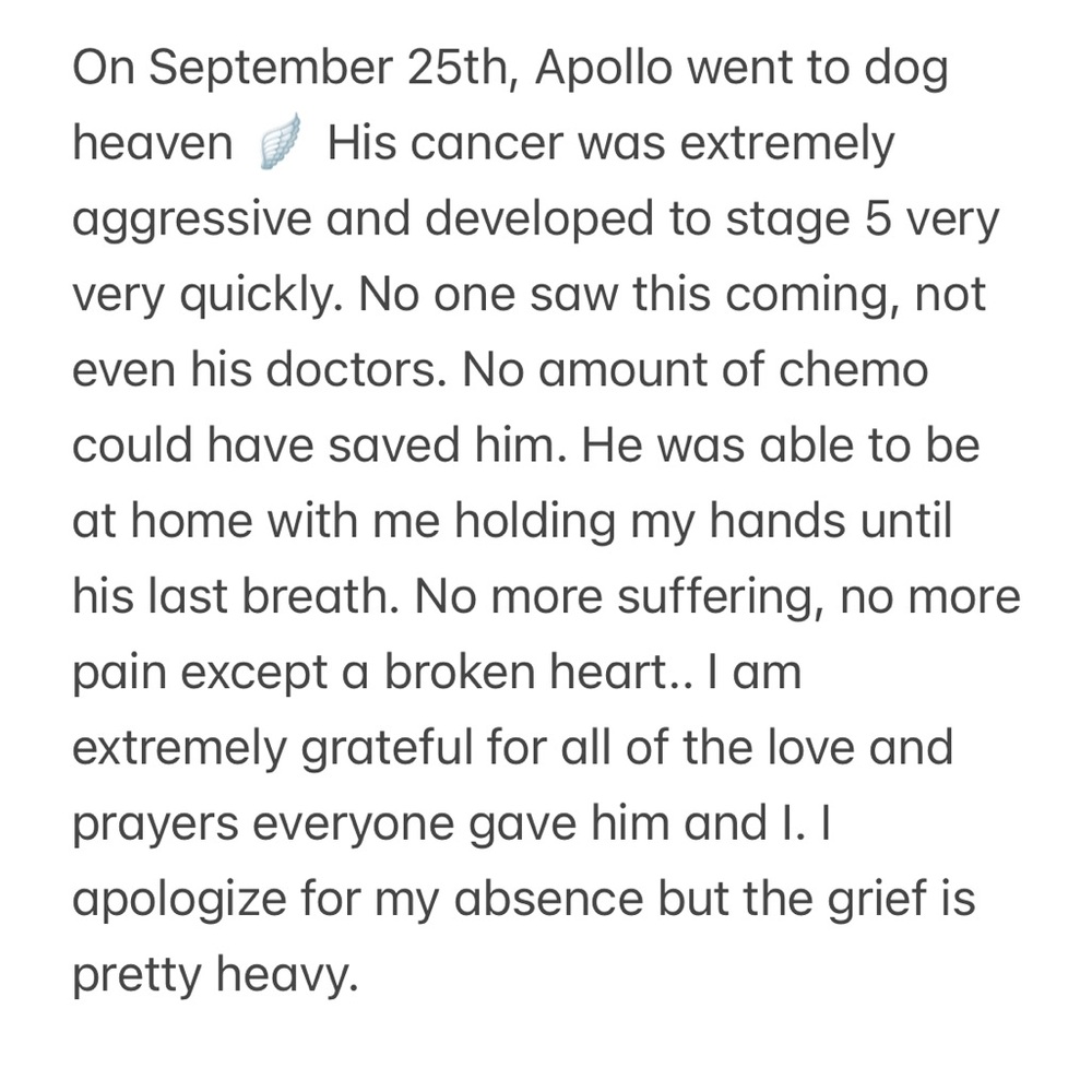 Apollo 🪽❤️‍🩹